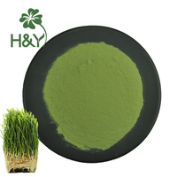 Herbe d'orge Poudre d'herbe d'orge verte Poudre de jus d'herbe d'orge