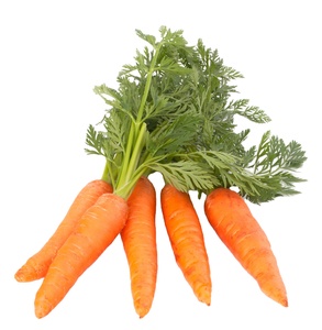 Récolte de carottes Qualité supérieure Carottes fraîches en gros Prix bon marché Légumes naturels sains - Product Image 1