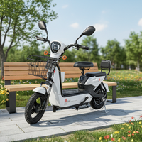 Vélo électrique 400W sans balais, 3 vitesses, cadre en acier 14 pouces, batterie 48V 12Ah, assistance au pédalage, freins à tambour avant/arrière, vélo de ville