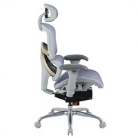 Chaise de bureau ergonomique Henglin en maille avec appui-tête 2D, accoudoirs 3D, vérin à gaz à 4 niveaux et roulettes silencieuses