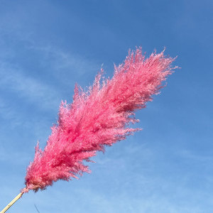 Meilleures ventes Herbe de la <span class=keywords><strong>pampa</strong></span> rouge brun foncé Décoration Fleurs artificielles faites à la main de qualité supérieure pour la fête des mères Retour à l'école Naturel - Product Image 3