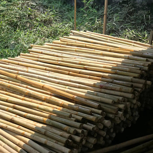 Poteaux en bambou Tam Vong de haute qualité, piquets en bambou durables pour le soutien des plantes agricoles, l'utilisation en serre et l'aménagement paysager - Product Image 1