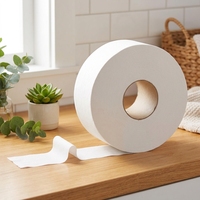 Papier toilette en rouleau jumbo, prix de gros, gaufré, usage commercial et industriel, rouleaux de papier toilette gaufré pour hôtel