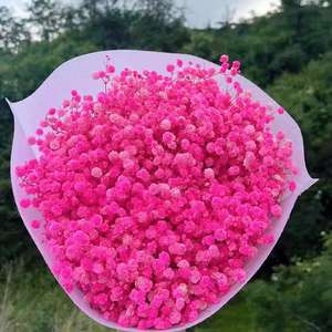 Ramo <span class=keywords><strong>de</strong></span> Flores Secas <span class=keywords><strong>de</strong></span> Gypsophila, Arreglo Floral <span class=keywords><strong>de</strong></span> Aliento <span class=keywords><strong>de</strong></span> Bebé Eterno Preservado, Regalo para Boda, Día <span class=keywords><strong>de</strong></span> San Valentín, Regreso a Clases - Product Image 6