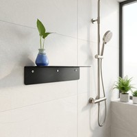 Support mural pour distributeur de savon en acier inoxydable 304 pour salle de bain de villa ou d'hôtel, acceptant les dimensions personnalisées