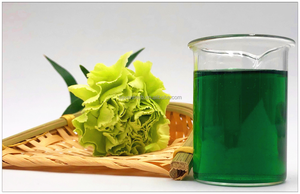 Chlorophylline de sodium-cuivre <span class=keywords><strong>E141</strong></span> soluble dans l'eau, qualité alimentaire, prix de gros - Product Image 2