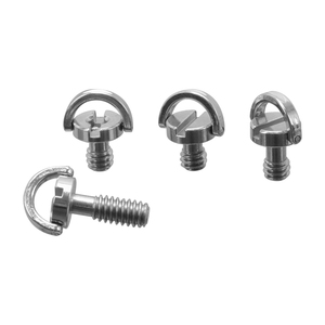 Vis miniature pour caméra Daryoo, <span class=keywords><strong>mini</strong></span> vis à fente 1/4, axe en D, vis de montage cachée pour caméra <span class=keywords><strong>espion</strong></span> - Product Image 5