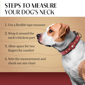 Collar de Perro de Lujo de Cuero de Grano Completo Curtido Vegetalmente con <span class=keywords><strong>Airtag</strong></span> Personalizado - <span class=keywords><strong>Precio</strong></span> Mayorista - Product Image 6