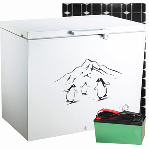<span class=keywords><strong>Réfrigérateur</strong></span> congélateur solaire DC à double <span class=keywords><strong>porte</strong></span> de grande capacité 350L 12V 24V avec adaptateur - Product Image 1
