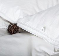 Vente en gros de couettes d'hôtel douces pour l'hiver, en tissu 100% coton, garnissage en microfibre, taille personnalisée, luxe
