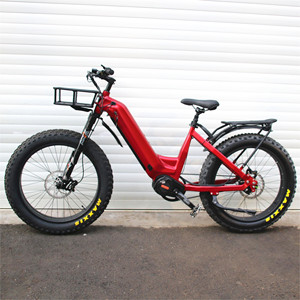 Vélo électrique <span class=keywords><strong>ROHLOFF</strong></span> à 14 vitesses, <span class=keywords><strong>moyeu</strong></span> IGH, 1000W, cadre bas, batterie 48V 30Ah, moteur central, vélo électrique à 11 vitesses, transmission par courroie - Product Image 2