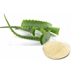 Aloevera-Polvo de fabricación en Vietnam - Product Image 1
