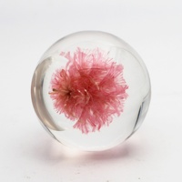 Offre Spéciale plantes boule de résine cristal cadeaux de noël ensemble idée insectes résine époxy vraie fleur artisanat