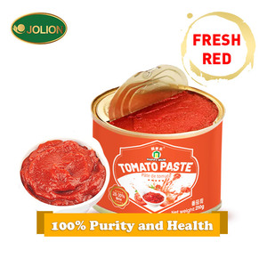 Trung Quốc giá rẻ giá thương hiệu tốt nhất lon thiếc 70 gam cà chua dán cho bán buôn số lượng lớn bán - Product Image 3