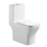 WC monobloc moderne en céramique à double chasse pour salle de bain