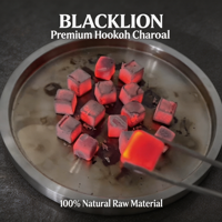 Machine à fabriquer du charbon BLACKLION, briquettes de charbon de noix de coco carbonisé, 22mm-27mm, charbon carré noir pour chicha