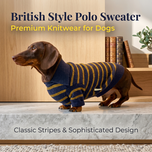Pull pour chien de Noël, nouveau modèle hiver-automne, luxueux, festif, à blocs de couleurs, rayé, col roulé, épais, chaud, résistant aux poils de chien et aux insectes - Product Image 2
