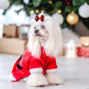 Vente en gros de nouveaux accessoires pour animaux de compagnie faits à la main, pince à cheveux de Noël, fleur pour cheveux d'animaux, nœud pour cheveux pour chiens et chats - Product Image 3