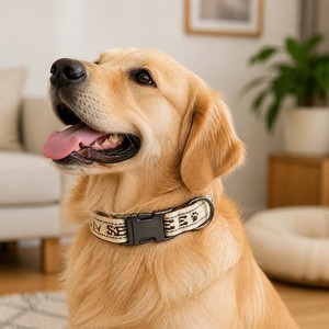<span class=keywords><strong>Collare</strong></span> per Cani Anti-Trazione con Design a Catena Semi-P, Anti-Fuga, Vestibilità Confortevole per Razze Grandi, Medie e Piccole, Collana Riflettente Notturna per Animali Domestici - Product Image 4