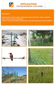 Fil barbelé en fer galvanisé à chaud anti-escalade, diamètre 2,0-2,5 mm, 200-300 m, pour usage agricole et carcéral - Vente chaude - Product Image 5