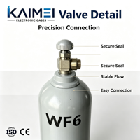 Proveedor Verificado de Gas Especializado Electrónico Hexafluoruro de Tungsteno 5N 6N WF6 con COA Completo para FABs Globales