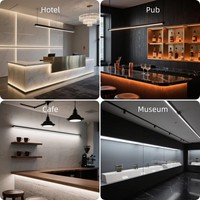 Bande LED néon flexible noire blanc chaud 1800K-3000K, vente en gros, IP67, pour cinéma, chambre, allées, façade, décoration intérieure et extérieure