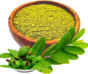 ผงใบฝรั่งอบแห้งแบบพ่นฝอยธรรมชาติพรีเมียม สำหรับเครื่องดื่มสมุนไพรร้อน-เย็น ผลิตจากพืชเกษตรโดยตรงจากโรงงานผู้ผลิต  แบบปลูกเอง  เฮอร์โบจิต - Product Image 4