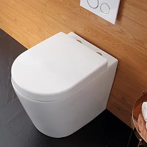 Groothandel Kleine Maat Vloer Gemonteerd Japans Toilet Sanitair Keramische Waterkasten Voor Thuis Kartonnen Verpakking Eendelig Modern