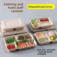 Boîtes repas jetables en pulpe biodégradable pour cafétéria, emballage exclusif à emporter, trois-quatre-cinq compartiments multiples