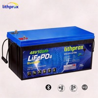 Batterie de chariot élévateur 48V 100Ah LiFePO4 de qualité automobile, sortie stable pour usine et entrepôt, CE RoHS IP67, OEM ODM