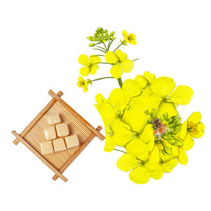 120 G Tíbet Origen <span class=keywords><strong>Canola</strong></span> <span class=keywords><strong>Miel</strong></span> Bolsita <span class=keywords><strong>Miel</strong></span> Precio Buena Naturaleza <span class=keywords><strong>Miel</strong></span> - Product Image 6