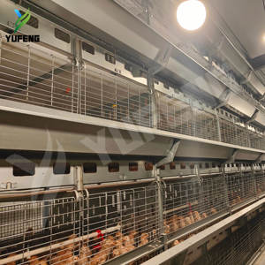 Yeni H tipi otomatik Q235 çelik pil günlük civciv broş 90-200 kapasite için Pullet kafes - Product Image 3