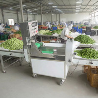 Industriële 2-kops groente-snijmachine voor bladgroenten, wortelgroenten, in plakjes, chips, schijfjes, blokjes, 1000 kg/uur, multifunctioneel, veelzijdig