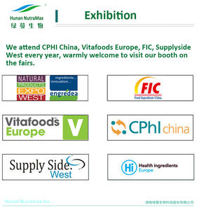 Adoçantes Em Pó Seco Luo Han Guo Alimentos Ingredientes Monk Fruit Extract, Adoçante Orgânico Monk Fruit para Bebidas Alimentares - Product Image 5