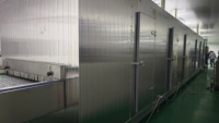 Congélateur IQF à lit fluidisé industriel, machine de congélation rapide continue pour la ligne de transformation des légumes, des fruits et des aliments en dés