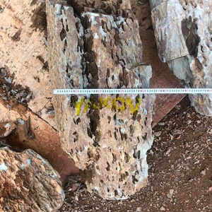 Trang chủ vườn cảnh quan Đá Rồng nhân tạo - Product Image 6