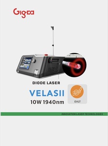 Proctology laser với 1470nm 1940nm laser với sợi xuyên tâm và hemorroids sợi hiệu quả cao ít đau ra bệnh nhân hoạt động - Product Image 4
