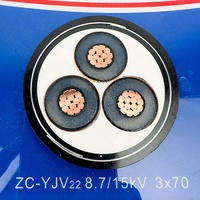 Guda ZR-YJV22 8,7/15kV 3*70mm Mehradriges Armiertes XLPE-Isoliertes Kupfer-Mittelspannungskabel mit PVC-Ummantelung für den Untergrundgebrauch