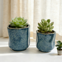 Pots de plantes en céramique personnalisés professionnels de grande taille, ensembles de pots de fleurs en céramique de petite taille pour fleurs décoratives