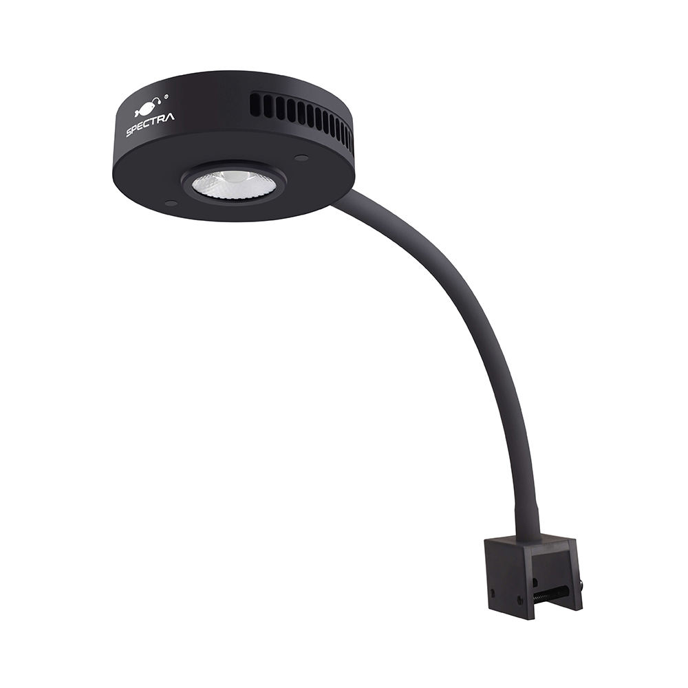 Knight V2 36W