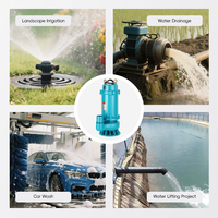 Pompe submersible YW-Y01 220V pour l'irrigation agricole, haute capacité de levage, débit élevé, pompe à eau pure