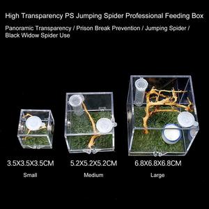 Caja de cría de reptiles, jaula de hábitat de reptiles acrílicos, caja de alimentación de insectos, tanque de terrario para mascotas, <span class=keywords><strong>Mini</strong></span> gateo transparente - Product Image 4