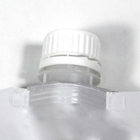 Sac à eau pliable réutilisable de qualité supérieure, blanc, en aluminium, pour boissons liquides, 1 gallon, avec bec verseur
