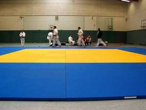 Tapis de judo Tatami approuvé par l'IJF pour la lutte MMA et les arts martiaux tapis BJJ avec dos anti-dérapant en éponge PU pour le taekwondo et le karaté - Product Image 6