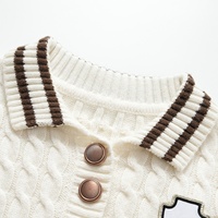 Nouvelle Arrivée 2026 – Pull Décontracté Chic pour Femme avec Broche Brodé Tendance et Rayures sur Revers en Maille