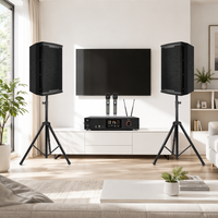 Sistema de Sonido para Karaoke en Interiores, Amplificador DSP de 400W, Micrófonos Inalámbricos Dobles, Altavoz de Madera de 8 Pulgadas, Entretenimiento Familiar 3RD