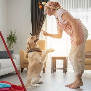 Tapis absorbant imperméable jetable pour animaux de compagnie, tapis d'apprentissage pour chiots, couche pour chien - Product Image 3