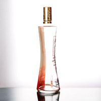Bouteille en verre de Baijiu chinois imprimée or 500 ml pour l'alcool