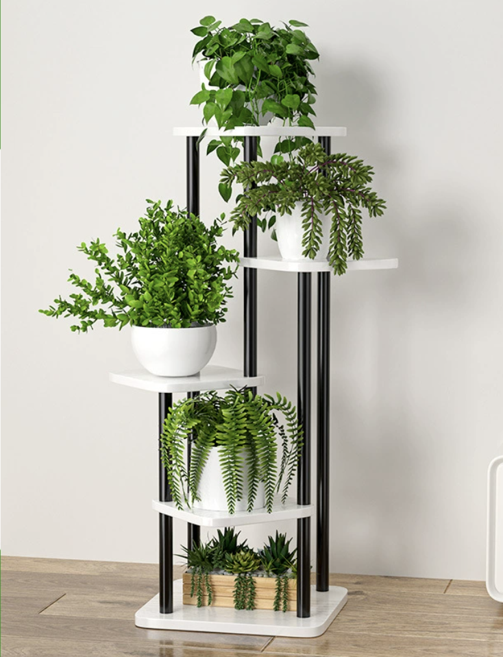 Cadre noir + bois blanc