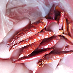 Hotsale new thai pepper pepe rosso intero essiccato per spezie - Product Image 5